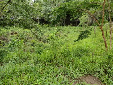 Lote/Terreno à venda, 20000m² no , Fortuna de Minas