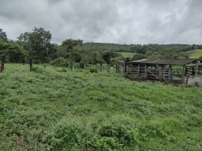 Lote/Terreno à venda, 20000m² no Zona Rural, Fortuna de Minas