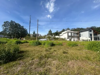 Lote/Terreno à venda, 482m² no Country, Santa Cruz do Sul