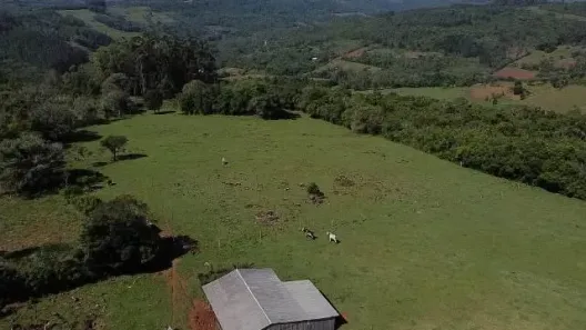 Fazenda/Sítio com 3 Quartos à venda, 85000m² no , Caraá