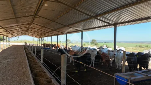 Fazenda/Sítio à venda, 200m² no Vila Santa Maria, Inhumas