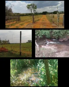 Fazenda/Sítio à venda, 100000m² no Área Rural de Anápolis, Anápolis