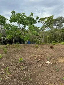 Fazenda/Sítio com 1 Quarto à venda, 3000m² no , Gameleira de Goiás