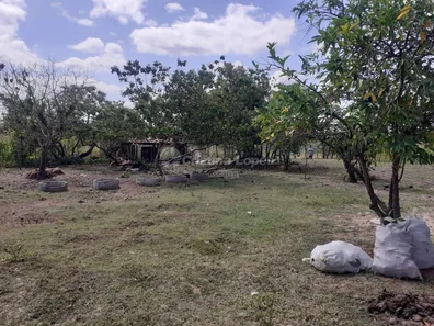 Fazenda/Sítio com 3 Quartos à venda, 10m² no , José de Freitas
