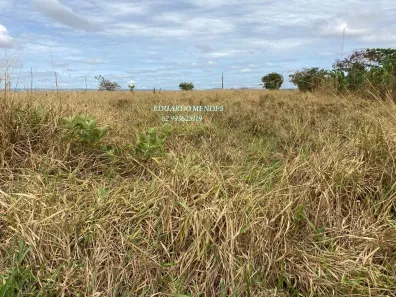 Fazenda/Sítio com 3 Quartos à venda, 145200m² no , Gameleira de Goiás