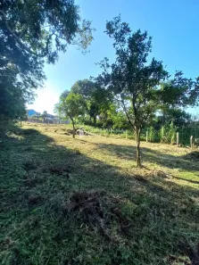 Lote/Terreno à venda, 999m² no Bela Vista, Caxias do Sul