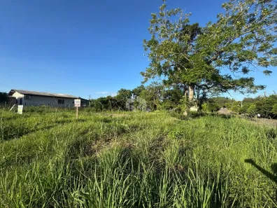 Lote/Terreno à venda, 360m² no Cipriano de Oliveira, Vera Cruz