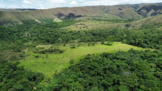 Fazenda/Sítio à venda, 573360m² no , Padre Bernardo
