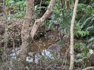 Fazenda/Sítio com 1 Quarto à venda, 10000m² no , Caraá