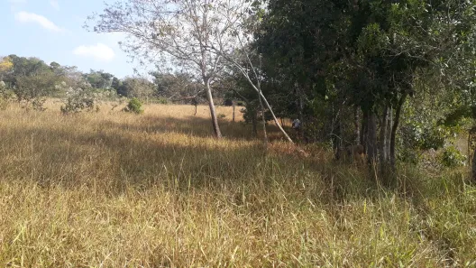 Lote/Terreno à venda, 20000m² no , Paraopeba
