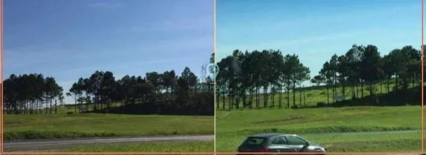 para alugar, 10900m² no Vila Artura, Sorocaba