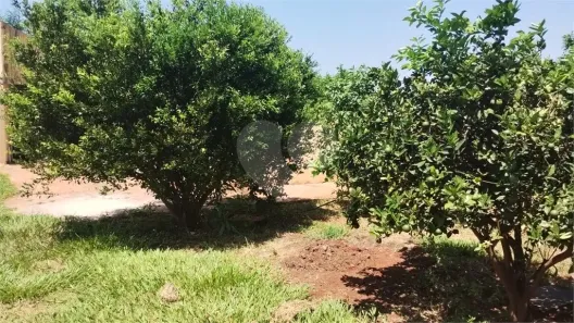 Fazenda/Sítio com 2 Quartos à venda, 350m² no Área Rural de Iacanga, Iacanga