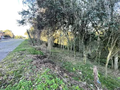 Lote/Terreno à venda, 389m² no Cruzeiro, Caxias do Sul