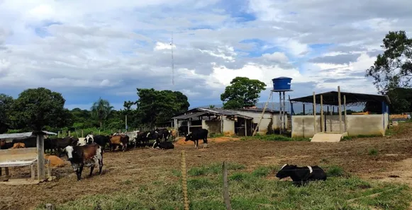 Fazenda/Sítio à venda, 30m² no , Buritis