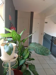 Apartamento com 2 Quartos para alugar, 44m² no Loteamento Jardim das Estâncias, Sumaré