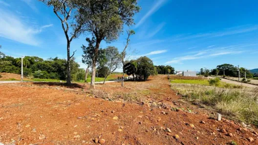 Lote/Terreno à venda, 342m² no Alto Vila Rosa, Dois Irmãos