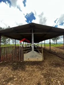 Fazenda/Sítio com 3 Quartos à venda, 1m² no , Buenópolis