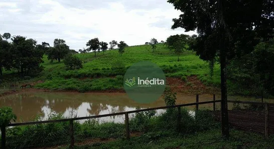 Fazenda/Sítio à venda, 484000m² no , Bonfinópolis