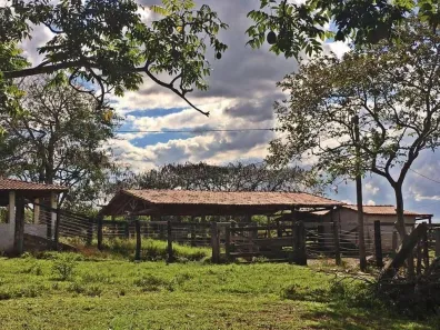 Fazenda/Sítio à venda, 102m² no , Silvânia