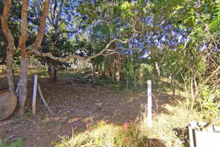 Fazenda/Sítio com 5 Quartos à venda, 450m² no Centro, Silvânia
