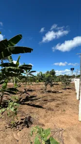 Fazenda/Sítio com 2 Quartos à venda, 4550m² no , Jaraguá