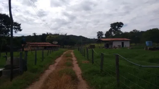 Fazenda/Sítio com 4 Quartos à venda, 1137400m² no , 