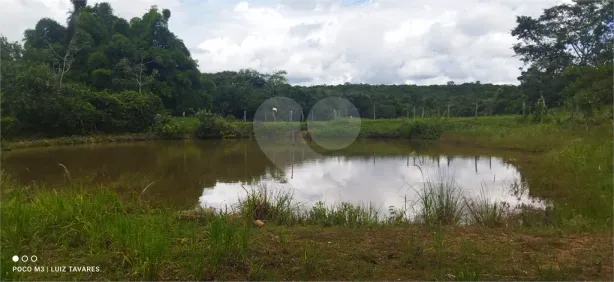 Fazenda/Sítio à venda, 1659200m² no , Silvânia