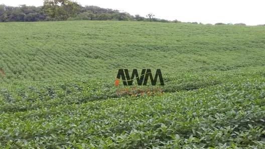Fazenda/Sítio à venda, 5008300m² no Centro, Leopoldo de Bulhões