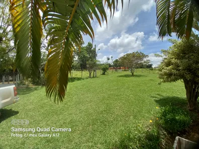 Fazenda/Sítio com 3 Quartos à venda, 32000m² no Zona Rural, Silvânia