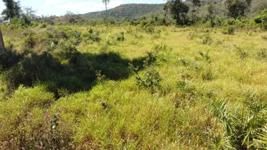 Fazenda/Sítio à venda, 1001m² no Centro, Porto Nacional