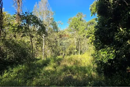 Lote/Terreno à venda, 5000m² no , Pardinho
