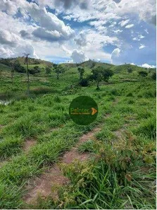 Fazenda/Sítio à venda, 12874400m² no Zona Rural, Niquelândia