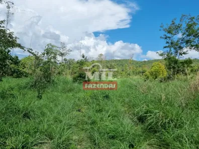 Fazenda/Sítio à venda, 484000000m² no , Jaraguá