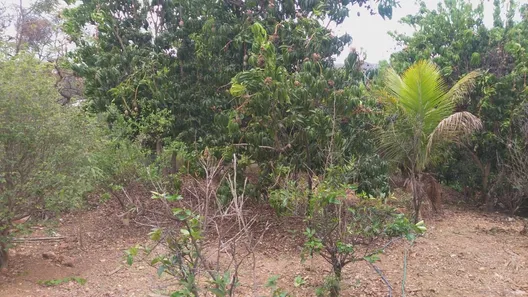 Lote/Terreno à venda, 4681m² no Palmital, Lagoa Santa