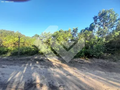 Fazenda/Sítio à venda, 70000m² no , Altos