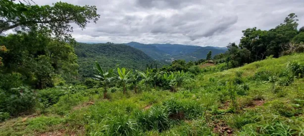 Lote/Terreno à venda, 25000m² no Scheiblin, Linha Nova