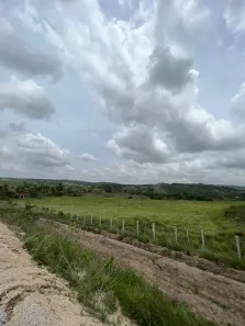 Fazenda/Sítio à venda, 630000m² no Centro, Serraria