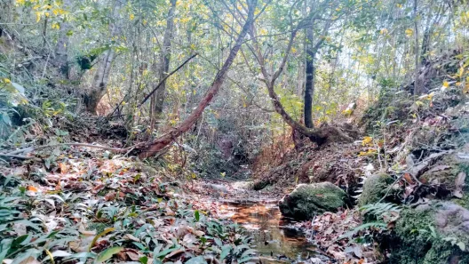Fazenda/Sítio à venda, 20000m² no , Brasília