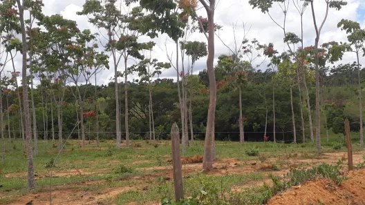 Lote/Terreno à venda, 20000m² no , Paraopeba