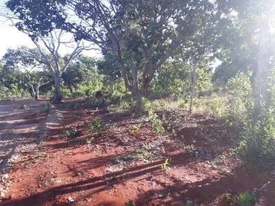 Lote/Terreno à venda, 20000m² no , Araçaí