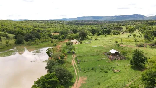 Fazenda/Sítio com 5 Quartos à venda, 37m² no , Goiás