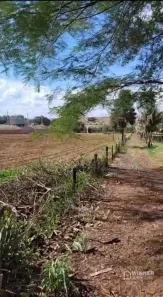 Lote/Terreno para venda ou aluguel, 10000m² no Br-376, Marialva
