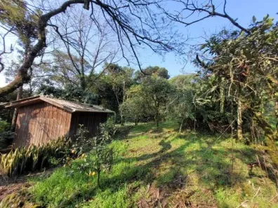 Fazenda/Sítio com 3 Quartos à venda, 49000m² no , Caraá