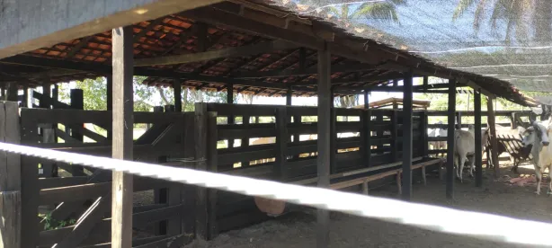 Fazenda/Sítio à venda, 300m² no Centro, Itapecuru Mirim