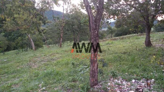 Fazenda/Sítio à venda, 774400m² no Goiás, Goiás