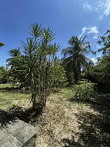 Casa de Condomínio com 6 Quartos à venda, 300m² no , Itaparica