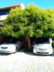 Casa de Condomínio com 4 Quartos à venda, 110m² no Stella Maris, Salvador