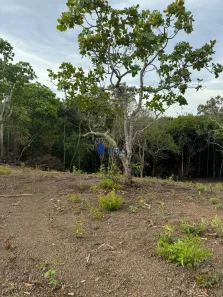 Fazenda/Sítio com 1 Quarto à venda, 3000m² no , Gameleira de Goiás