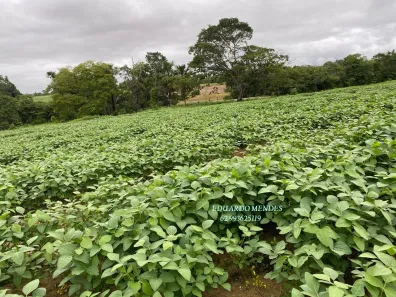 Fazenda/Sítio com 3 Quartos à venda, 2178000m² no , Niquelândia