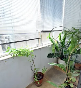 Apartamento com 2 Quartos à venda, 62m² no São Pedro, Belo Horizonte